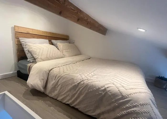 Apartamento Cosy, Calme, Confort Et Situation Idéale